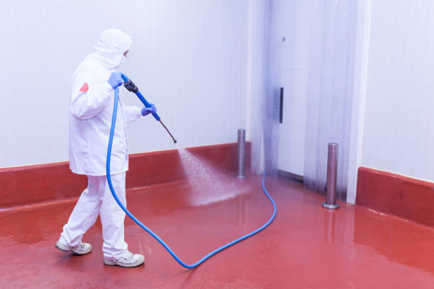 Trusted Tuckerton, NJ Pressure Washing Services Experts